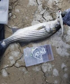 KastKing Fluorokote 100% Fluorocarbon Fishing Line, Fluorocarbon Leader, Extreme Clarity, Fast Sinking, Shock Resistant, High Abrasion Resistance, Available in 150 and 300 YD Spools 15LB(6.8KG) 0.33mm-300Yard 29 81zwfI8iVGL