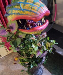 FolkArt PROMO830 Multi Satin Finish Acrylic Craft Paint Set Designed for Beginners and Artists, Non-Toxic Formula That Works on All Surfaces, 2 oz, 2 Fl Oz (Pack of 12), 12 Colors May Vary, 24 55 81zx mvAgUL