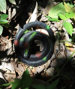 Homdipoo Realistic Fake Rubber Toy Snake Black Fake Snakes That Look Real Prank Stuff Cobra Snake 27 Inch Long (Black) 13 81zygvCpZpL