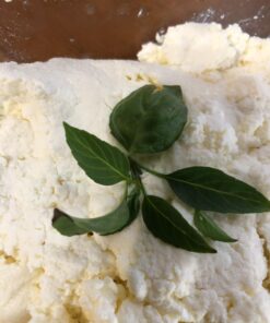 Standing Stone Farms Basic Beginner Cheese Making Kit - Mozzarella, Burrata, Burricota, Chevre, Ricotta, Mascarpone & Butter! 38 81zzmnwugNL