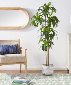 Nearly Natural 6596 6ft. Dracaena Silk Plant (Real Touch),Green 30 91 8gKHdwS