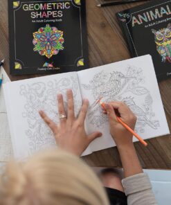 Adult Coloring Books Set - 3 for Grownups 120 Unique Animals, Scenery & Mandalas Designs. Adults Relaxation. 39 91 8jLQECiL