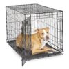 MidWest Homes for Pets Newly Enhanced Single Door iCrate Dog Crate, Includes Leak-Proof Pan, Floor Protecting Feet , Divider Panel & New Patented Features, Black 36 inch (Pack of 1)
