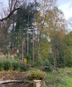 Sportsman Pocket Chainsaw 36 Inch Long Chain With Fire Starter Best Compact Folding Hand Saw Tool for Survival Gear, Camping, Hunting, Tree Cutting or Emergency Kit. Replaces Your Pruning & Pole Saw 48 91 VcaohByL 1