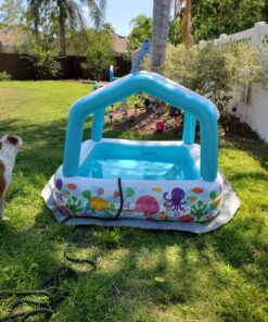 Intex Sun Shade Inflatable Pool, 62" X 62" X 48", for Ages 2+ Play Center Only 46 91 deEvo7oL