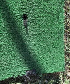 TRUEDAYS Golf Mat - Artificial Turf Golf Mat with Non-Slip Foam - 12“ x 24“ Golf Hitting Mat for Indoor and Outdoor Practice (Includes Rubber Tee Holder and Tees) 12"x24" 27 91 eY5ZAhL