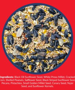 Lyric Supreme Wild Bird Seed - Wild Bird Food Mix with Nuts & Sunflower Seeds - Attracts Many Beautiful Songbirds - 4.5 lb bag 19 91 k0J0T6RL 2