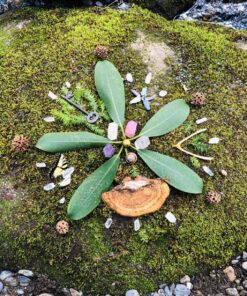Hypnotic Gems 120g 4.2oz Natural Clear Quartz Crystal Points Shards 30-50 Piece Lot Average Brand 59 910CN8zRoL