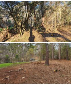 DEWALT 20V MAX* XR Chainsaw, 12-Inch, Tool Only (DCCS620B) Chainsaw Bare Tool Only 37 910LPLuWrDL