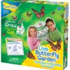 Painted Lady Butterfly Kit - Habitat, STEM Journal, & Voucher for Chrysalis Log & Caterpillars - Grow Your Own Butterfly Kit 45 910PnlydJqL 1