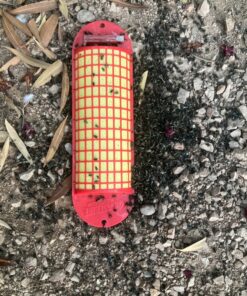 Starbar QuikStrike Fly Abatement Strip 11 910og9e4HL