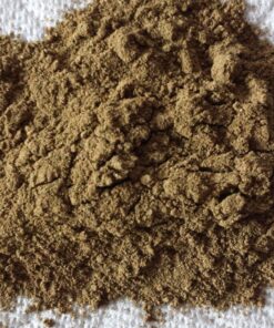 Garden of Life Raw Organic Perfect Food Green Superfood Juiced Greens Powder - Chocolate, 60 Servings, Non-GMO, Gluten Free, Vegan Whole Food Dietary Supplement, Plus Probiotics, Enzymes 60 Servings (Pack of 1) 23 910tGBqEL