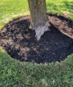 Worx Edger Lawn Tool, Electric Lawn Edger 12 Amp 7.5", Grass Edger & Trencher WG896 12-Amp 7.5" Electric Lawn Edger & Trencher 70 910vQ8FrCvL