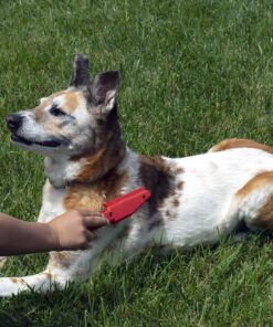 FURemover Original Indoor Pet Hair Rubber Broom and Pet Hair Remover Lint Brush Set, Colors May Vary FURemover Broom and Brush Combo 34 911CgBGeMYL