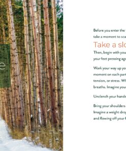 Forest Bathing Retreat: Find Wholeness in the Company of Trees 12 911nXNoXGbL