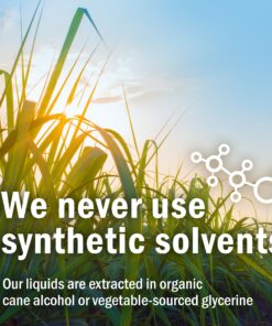 Herb Pharm Certified Organic Ginger Liquid Extract for Digestive Support - 1 Ounce 1 Fl Oz (Pack of 1) 11 911npgNVPKL