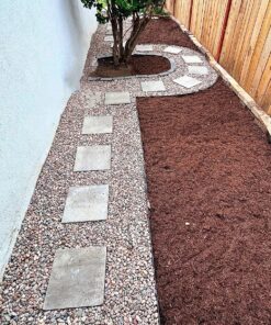 Seed Needs, Large 2.1 Ounce Package of 7,000+ Crazy Mix Cosmos Seed Mixture for Planting (Cosmos Bipinnatus Butterfly Attracting Cosmos Mixture) 10+ Varieties Open Pollinated - Bulk Large Pack (7,000 Seeds) 50 911qWd0AYWL