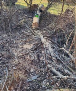 Greenworks 40V 16" Brushless Cordless Chainsaw (Great For Tree Felling, Limbing, Pruning, and Firewood / 75+ Compatible Tools), Tool Only 16" (Tool Only) Gen 1 29 9123mJwSQEL