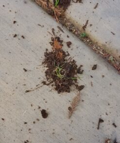 Gutter Sense Gutter Cleaning Tool 29 912XBzwbX5L