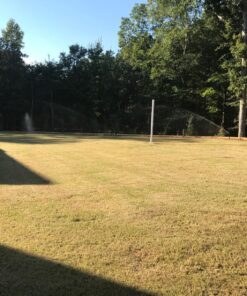 Scotts Turf Builder Grass Seed Bermudagrass, Mix for Full Sun, Built to Stand Up to Heat & Drought, 5 lbs. 5 lb. 87 912buDUKMKL