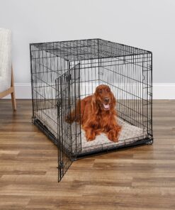 MidWest Homes for Pets Newly Enhanced Single Door iCrate Dog Crate, Includes Leak-Proof Pan, Floor Protecting Feet, Divider Panel & New Patented Features 31 912dMhGWML 2