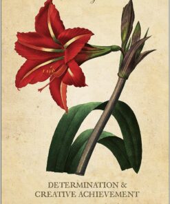 Botanical Inspirations Deck & Book Set 37 912fNuQ8CL 2