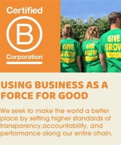 Peeled Snacks Organic Dried Fruit, Mango, – Healthy, Vegan Snacks for On-the-Go, Lunch and More, 1.23 Ounce (Pack of 10) 16 912vuCq2XjL