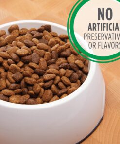 IAMS Adult Minichunks Small Kibble High Protein Dry Dog Food with Real Chicken, 15 lb. Bag 0 15 Pound (Pack of 1) 30 912yABkj6QL