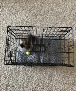 MidWest Homes for Pets Newly Enhanced Double Door iCrate Dog Crate, Includes Leak-Proof Pan, Floor Protecting Feet, Divider Panel & New Patented Features X-Small 60 913 5 JxL 1