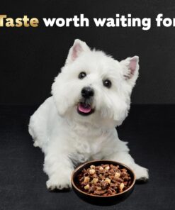 CESAR Adult Wet Dog Food Loaf & Topper in Sauce Rotisserie Chicken Flavor with Bacon & Cheese, 3.5 oz. Easy Peel Trays, Pack of 24 3.5 Ounce (Pack of 24) 28 913 dIknK8L 2