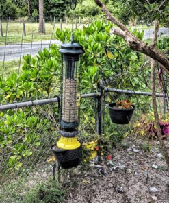 Droll Yankees 21964205201 787461785928 Squirrel Proof Bird Feeder, Yankee Whipper, 28-Inch, 4 P, Evening Blue 25 913392Q1kQL