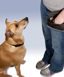 PetSafe Treat Pouch Sport- Durable, Convenient Dog Training Accessory, Standard, Black 32 9133THNjZuL