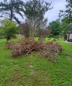 Fiskars 32" PowerGear2 Steel Blade Garden Bypass Lopper and Tree Trimmer - Sharp Precision-Ground Steel Blade Tree Cutter Blade for Branches up to 2" Diameter 32 in 36 9134t72Q9mL