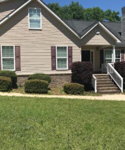 BLACK+DECKER 20V MAX Cordless Hedge Trimmer with Power Command Powercut, 22-Inch (LHT321FF) 20V Hedge Trimmer Kit 31 913B5dQLjDL