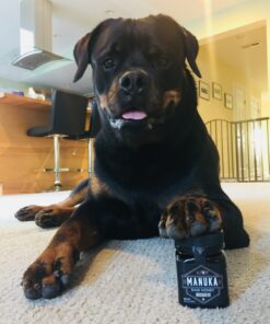 Kiva Raw Manuka Honey, UMF 20+ | MGO 850+ | 100% Pure Genuine New Zealand (8.8oz/250g Bottle) | Non-GMO | No Antibiotics | Traceable | Certified 8.8 Ounce (Pack of 1) 43 913LGb2hD7L