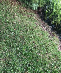 OTTERBOX COMMUTER SERIES Case for iPhone 8 PLUS & iPhone 7 PLUS (ONLY) - Retail Packaging - AQUA MINT WAY (AQUA MINT/MOUNTAIN RANGE GREEN) AQUA MINT WAY (AQUA MINT/MOUNTAIN RANGE GREEN) Standard Packaging 33 913UMXFIlL 1