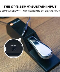 M-Audio SP-2 - Universal Sustain Pedal with Piano Style Action For MIDI Keyboards, Digital Pianos & More 30 913rubH8bHL 3