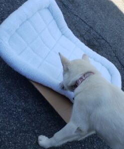 Amazon Basics 35-Inch Padded, Dog & Pet Bolster Bed, White, 35.04"L x 22.05"W x 2.76"H 35.0"L x 22.1"W x 2.8"Th 31 9148AawvclL