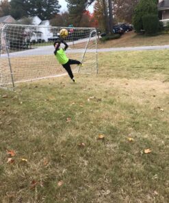 Franklin Sports Competition Soccer Goals - Backyard Portable Steel Soccer Goals - Adult + Youth Soccer Goal with Net + Ground Stakes Included - Multiple Sizes + Colors Non-Folding 12' x 6' Silver 37 914MaATK0xL