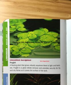 12 Amazon Frogbit (Limnobium Laevigatum), Live Aquarium/Aquatic Floating Plant by G&Z 24 914PAlmDEL