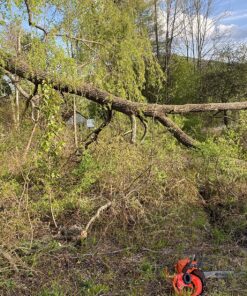 TR Industrial Forestry Safety Helmet and Hearing Protection System (Orange) Orange 28 914PzWmoa3L