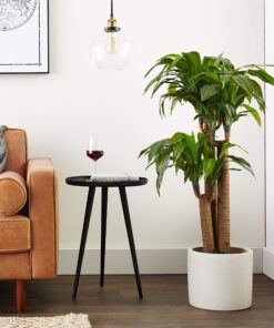 Nearly Natural 6648 4ft. Corn Stalk Dracaena Silk Plant (Real Touch),Green 29 914a1O1GbnL