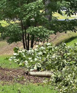 Mini Chainsaw 6-Inch Battery Powered - Cordless Electric Handheld Chainsaw with 2 Rechargeable Batteries - 21V Small Power Chain Saws Battery Operated for Tree Trimming Wood Cutting 31 914d54R24YL