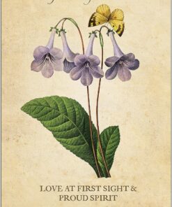 Botanical Inspirations Deck & Book Set 39 914evXGmrL