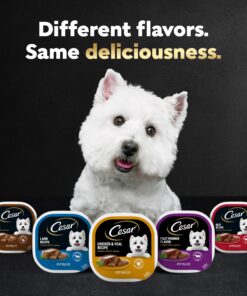 CESAR Adult Wet Dog Food Classic Loaf in Sauce Poultry Variety Pack,. Easy Peel Trays with Real Chicken, Turkey or Duck, 3.5 Ounce (Pack of 24) 3.5 Ounce (Pack of 24) multi 25 914gAUBsGyL