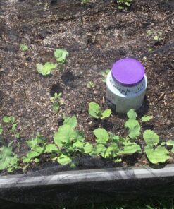 Lifetime 60069 Raised Garden Bed Kit, 4 by 4 Feet, Pack of 3 60 914oLpyFabL