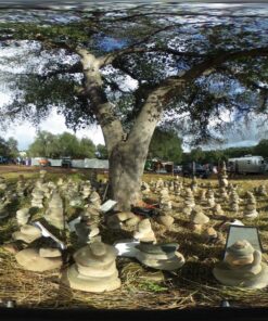 Ricoh Theta S Digital Camera (Black) Base 62 914sm4bdnjL