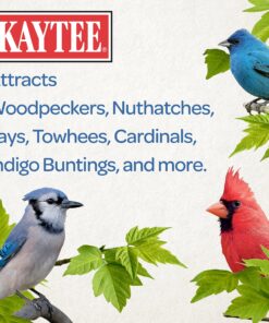 Kaytee Shelled Peanuts For Woodpeckers, Nuthatches, Jays, Towhees, Cardinals, Indigo Buntings & Other Wild Birds, 10 Pound 27 9154Ai7fOdS 2