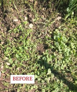 BLACK+DECKER 20V MAX* Tiller (LGC120) 20V Cultivator/Tiller Kit 30 9154UY8gL