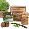 Indoor Herb Garden Starter Kit - Heirloom, Non-GMO Herb Seeds - Basil Thyme Parsley Cilantro Seed, Potting Soil, Pots, Scissors - DIY Grow Kits for Growing Herbs Indoors, Kitchen, Balcony, Window Sill 33 915hrx IPL